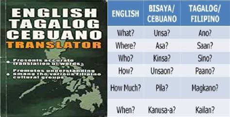 magkano in english|Google Translate.